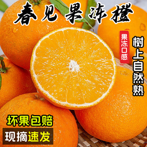 正宗青见果冻橙四川水果当季新鲜整箱榨汁特产手剥丑橘柑橙子大果