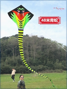 2024新款大风筝大人专用网红超大潍坊微风易飞高档大型成人高端蛇