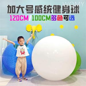 超大号瑜伽建身球订做120CM/100CM儿童感统训练大龙球1米黑白多色
