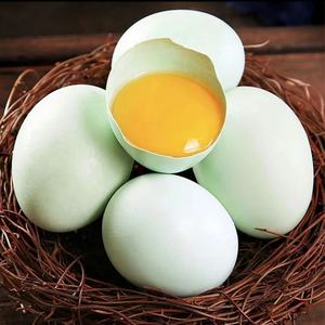 【新农人】五黑鸡绿壳鸡蛋20枚 每枚不低于40克 山林散养鸡绿壳蛋