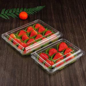 草莓盒子包装盒一次性草莓打包盒透明带托塑料盒子泡沫水果保鲜盒