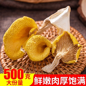 鸡油菌干货500g云南特产黄金菇榆黄蘑菇特级香菇山珍煲汤食材