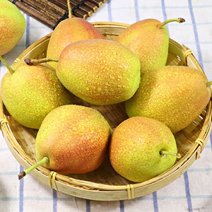 【香梨合辑】红香酥梨新鲜水果清甜玉露香梨大梨4.5斤梨子包邮