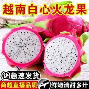 白心火龙果新鲜现摘10斤当季越南进口热带水果火龙果产地直发整箱