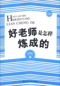 正版九成新图书|中国基础教育文库：好老师是怎样炼成的段惠民国