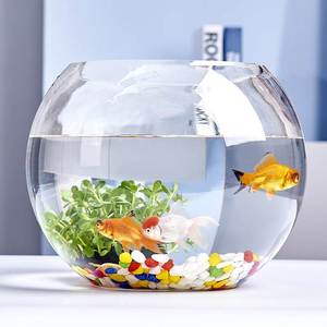 创意鱼缸2022新款加厚玻璃缸圆形带led灯客厅小型桌面透明金鱼缸