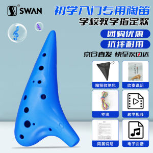 天鹅（SWAN）陶笛12孔AC中音C调树脂塑料儿童初学入门教学乐器学