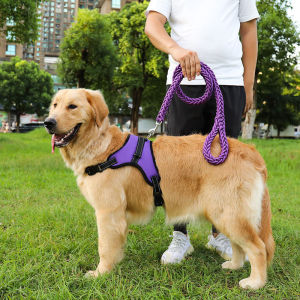 狗绳大型犬可调节胸背带金毛拉布拉多牵引绳加粗八股狗绳防爆冲