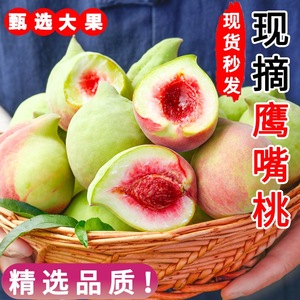 【现货】鹰嘴桃硬脆甜桃子10斤现摘新鲜水果江西赣南整箱应季水果