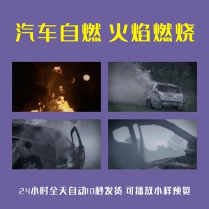 汽车自燃火焰燃烧野火篝火车祸事故肇事案件案情车体骨架视频素材