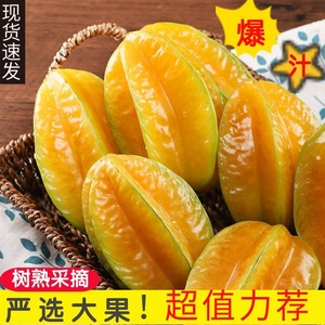 福建漳州甜杨桃新鲜当季鲜果五角星水果5斤装大果整箱包邮洋桃红