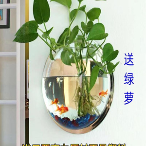 新疆包邮乔迁搬新家客厅墙上水培绿萝植物花瓶壁饰壁挂鱼缸亚克力