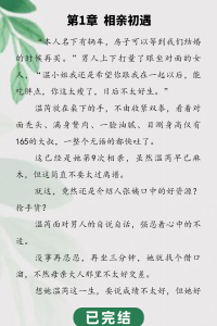 精品文:温芮纪瑾陆《哭唧唧的纪总跪求复婚》本人名下有辆车，房