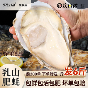 乳山生蚝鲜活新鲜特大牡蛎肉海蛎子5斤带箱海鲜水产商用批发顺丰