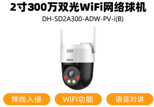 大华2寸300万双光WIFI网络球机监控摄像头DH-SD2A300-ADW-PV-i(B)