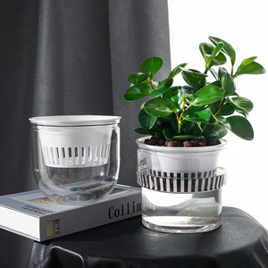 新款创意水培水养瓶植物透明塑料花盆容器绿萝白掌圆形器皿桌面