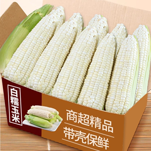 广西新鲜白糯玉米9斤甜糯牛奶玉米现摘现发苞谷嫩玉米棒子蔬菜