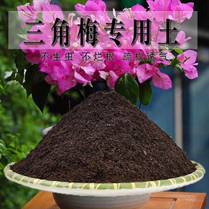 三角梅专用土三梅花土盆栽种植土养花土营养土通用种花土壤有机肥