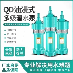 德国进口上海水泵高压深井泵农用深水井单相三相多级抽水水泵国标