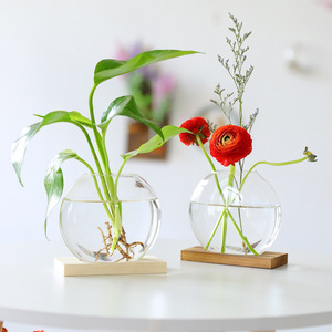 创意北欧风木艺水培绿萝摆件玻璃花瓶客厅家居装饰办公室桌面摆设