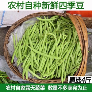 湖北新鲜蔬菜新鲜四季豆 豆角芸豆老来少豆角白不老现摘现发包邮