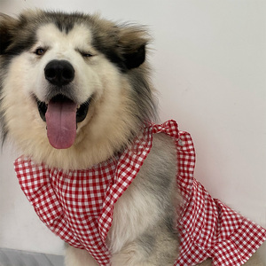 宠物狗狗新款衣服红色方形格子裙子大中小型犬阿拉斯加萨摩耶拍摄