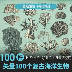 矢量100个复古海洋生物珊瑚鱼类贝壳化石线稿AI设计素材+png