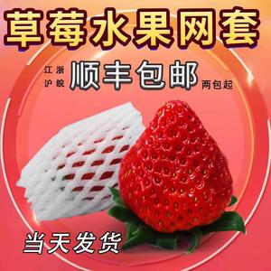 草莓泡沫网套水果防震保护网套水果店礼品包装盒网兜发泡网袋定制
