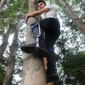 双尖直立爬树神器爬大树脚扎子防滑万能专用工具 安全型专业上树