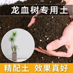 龙血树专用土壤肥料营养土养花腐殖专用通用花土蓬松泥土无菌土