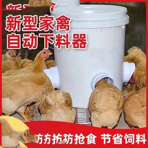 鸡鸭鹅全自动喂食器喂料桶鸡自动下料器家禽用料槽食槽重力喂食器