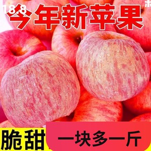 正宗陕西洛川红富士苹果冰糖心脆甜新鲜水果精选大果现摘现发10斤