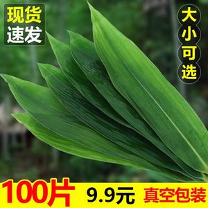 粽叶新鲜粽子叶包粽子专用商用100片箬叶大端午节家用的野生叶子