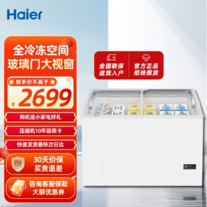海尔商用406L展示柜深冷速冻雪糕陈列冰柜 便利店冻货食品弧面