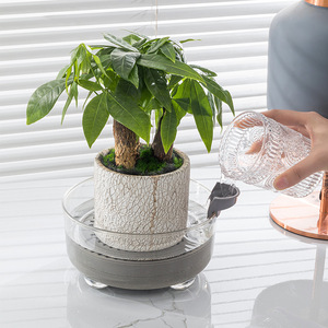 新款桌面懒人控水花盆客厅自动吸水花盆创意干湿花容器塑料水培盆