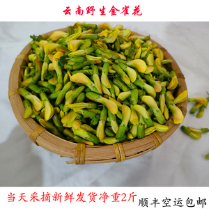 金雀花云南特产新鲜蔬菜野菜阳雀花食用鲜花当季野花产地直销包邮