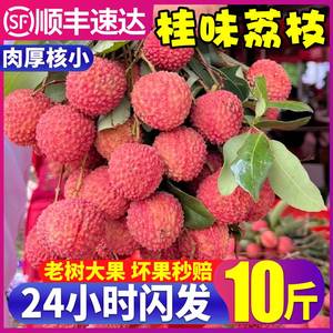 增城桂味荔枝5斤新鲜水果应季现摘白糖糯米罂糍顺丰