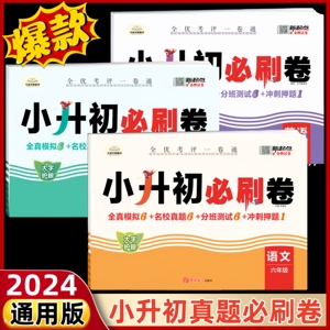 2024小升初真题卷必刷卷语文数学英语人教版通用版试卷小学毕业升学分班总复习资料六年级下册测试卷全套练习册名校模拟期末卷子