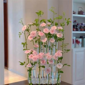 一排花瓶试管花瓶插花透明玻璃花瓶水培花器鲜花摆件情人节装饰