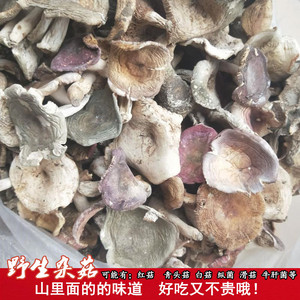 休闲菌干货蘑菇干杂菌菇野山菌菌类特产红菇青头菇干菌菇菌子食材