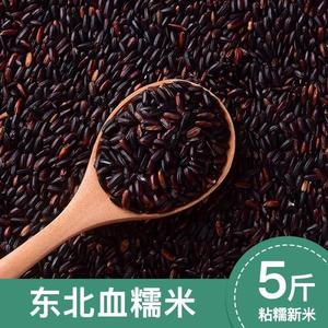 血糯米新米黑米紫米红米粗粮五谷杂粮东北农家正宗黑糯米5斤