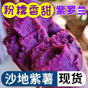 紫薯新鲜山东紫罗兰沙地农家种植红薯番薯地瓜糖心蜜薯山芋烟薯25