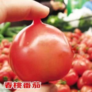 精品春桃番茄种子超甜心形西红柿籽四季盆栽粉红桃形柿子圣女果籽