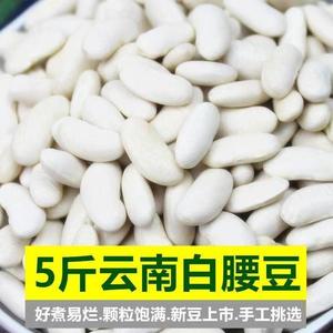 白腰豆白豆云南农家自种小白芸豆 豆米煲汤【新疆西藏专链】