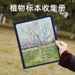 植物树叶标本收纳收集册覆膜干花昆虫夹活页手工四叶草枫叶相册