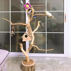 干树枝站鸟架原木杈艺术干枝枯木树干造型鹦鹉站架吊顶龙骨装饰