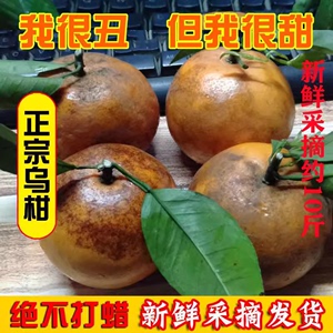 乌柑黑皮沃柑新鲜水果柑橘橙子广西武鸣大果丑柑橘脏脏柑橘9/5斤