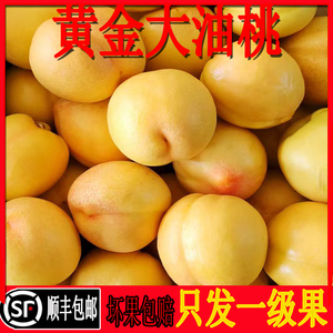 黄油桃新鲜5现摘东戴河杏梅香甜应季黄桃黄心油桃孕妇水果黄金桃