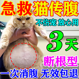 猫传腹口服药猫腹水猫咪大肚子胀腹膜炎发烧无力抑制消腹水营养液