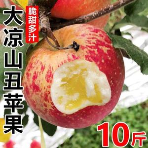 大凉山丑苹果10斤新鲜水果四川盐源冰糖心甜萍果应季当季